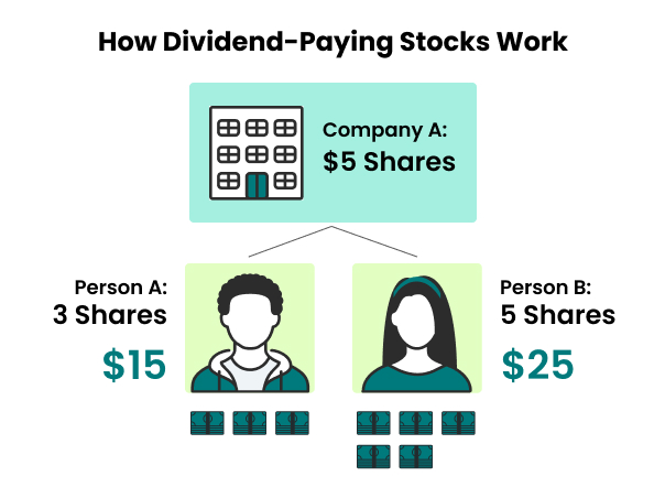 How Dividend-Paying Stocks Work