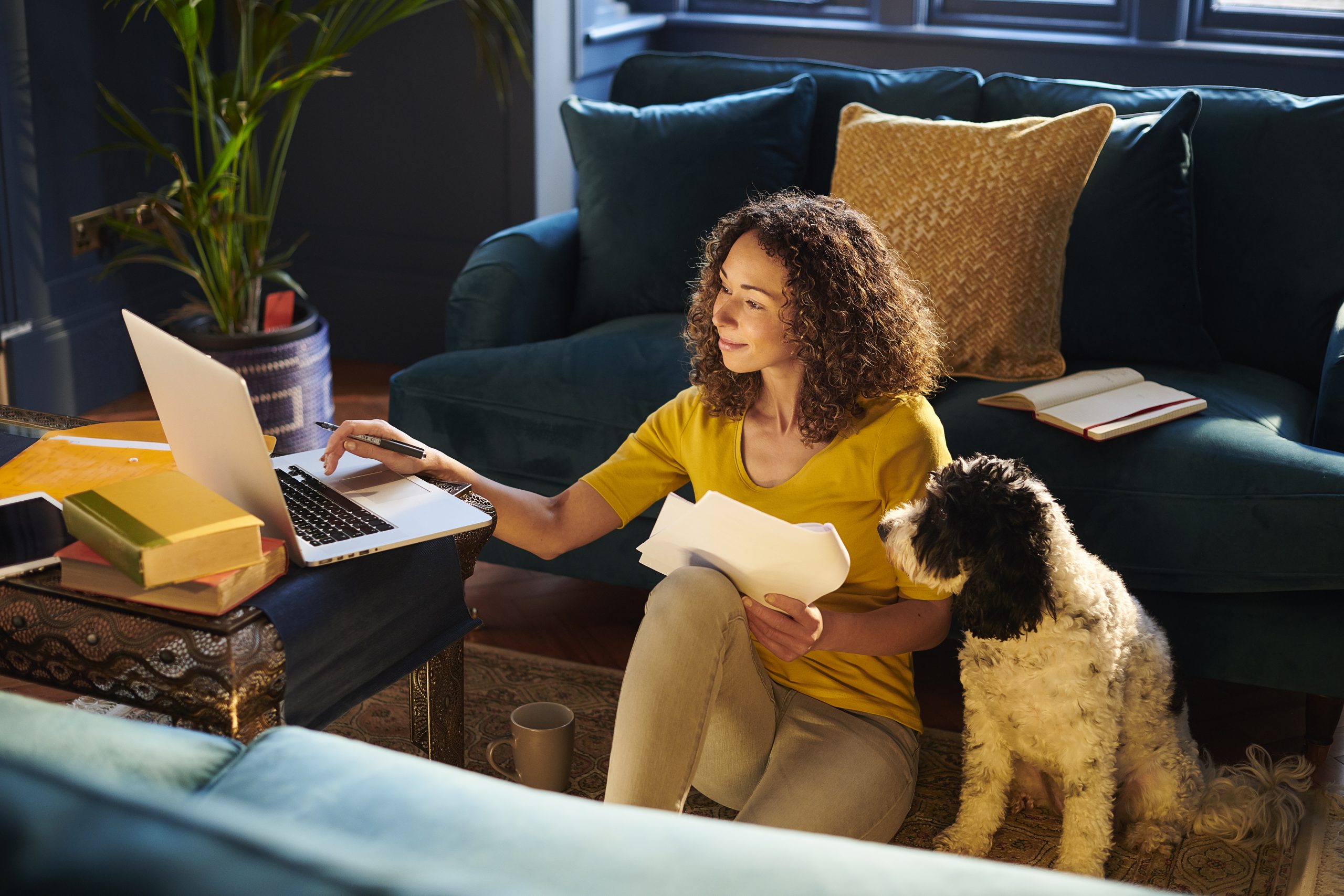 a woman sitting with her dog checks her credit score on her laptop