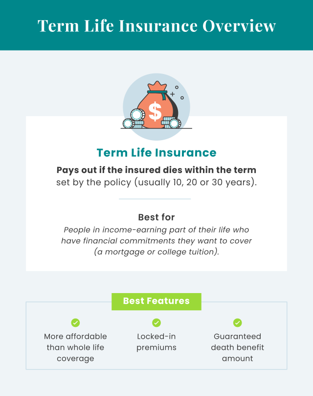 Term life insurance overview