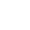White duotone dollar icon